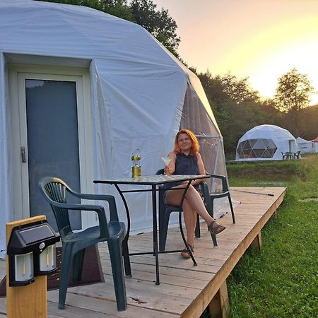 Forest Glamping บราชอฟ ภายนอก รูปภาพ
