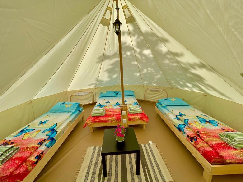 Forest Glamping บราชอฟ ภายนอก รูปภาพ