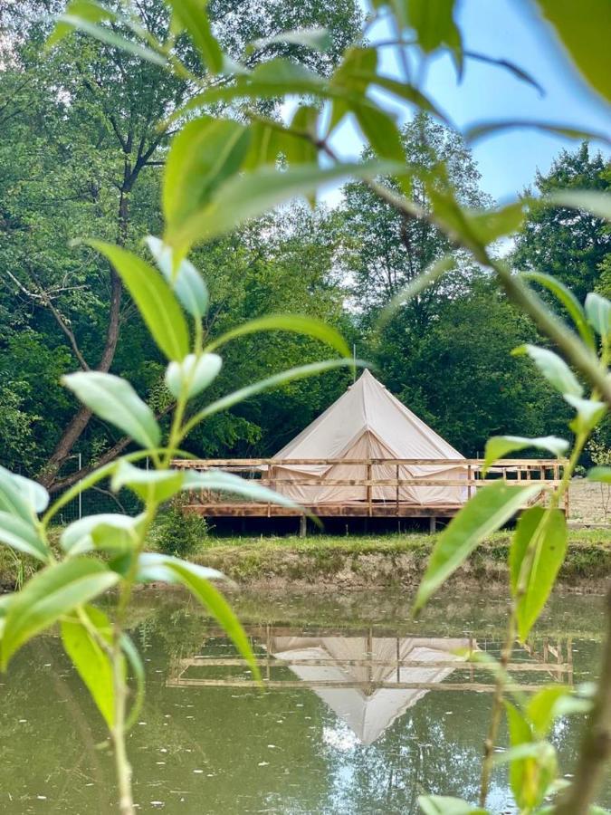 Forest Glamping บราชอฟ ภายนอก รูปภาพ