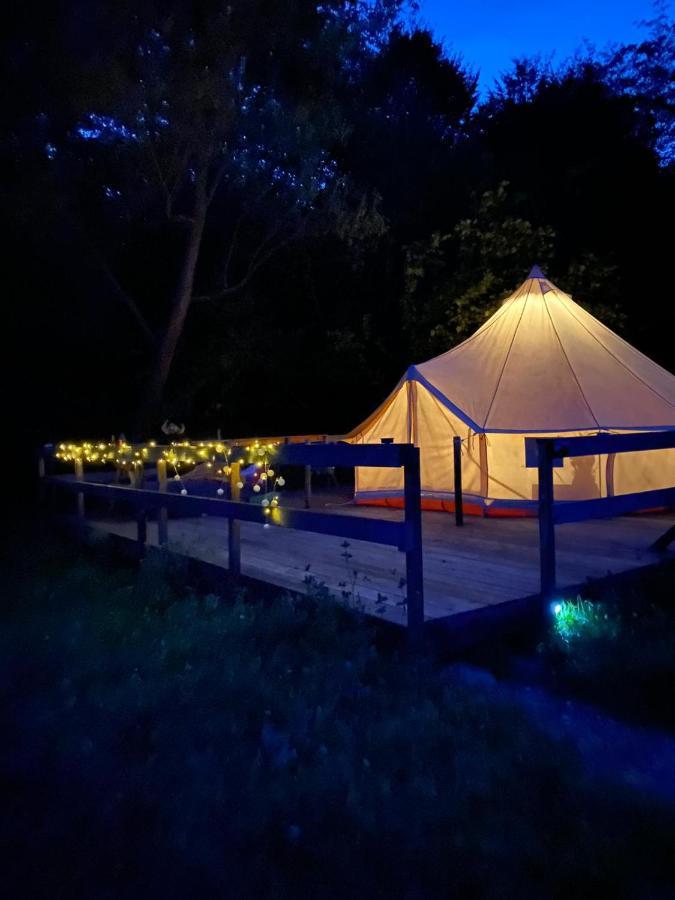 Forest Glamping บราชอฟ ภายนอก รูปภาพ