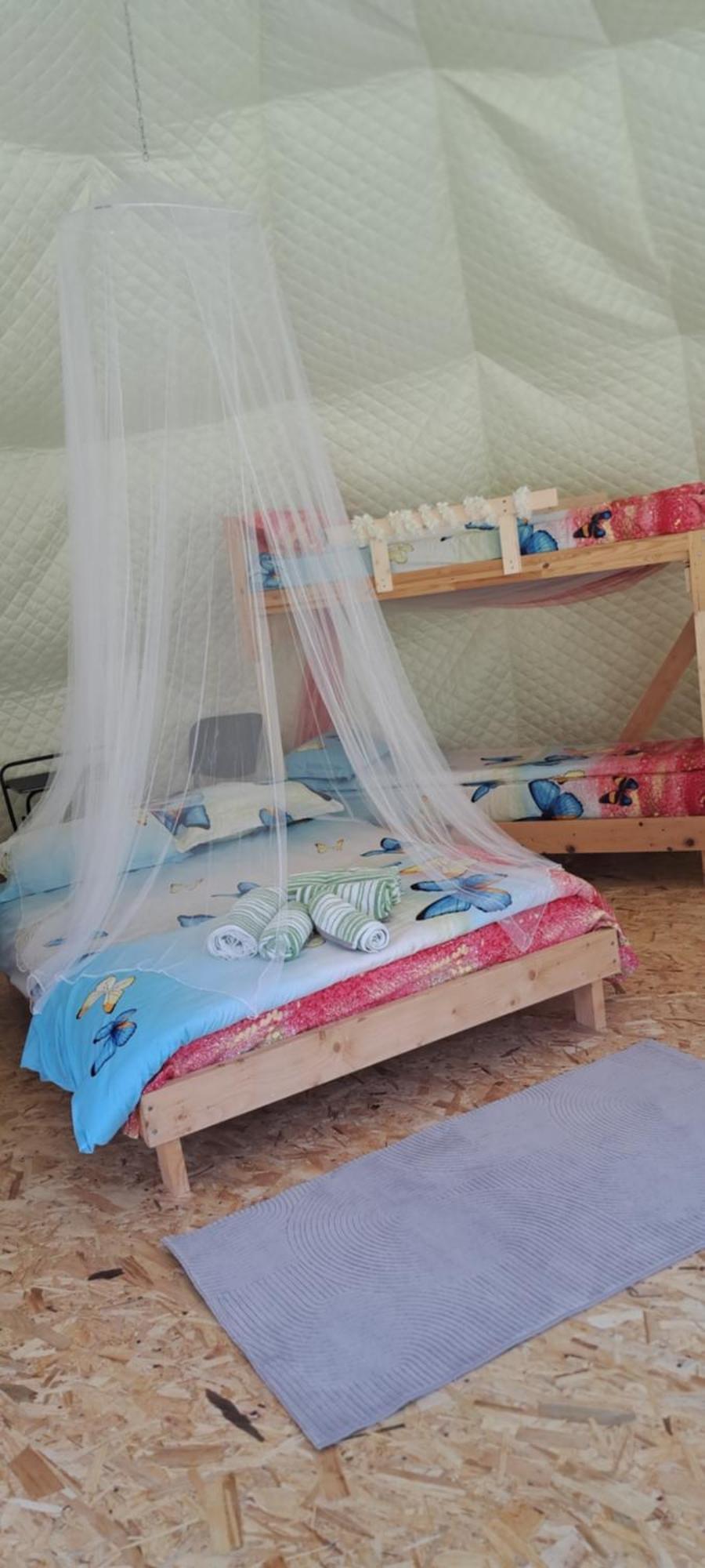 Forest Glamping บราชอฟ ภายนอก รูปภาพ