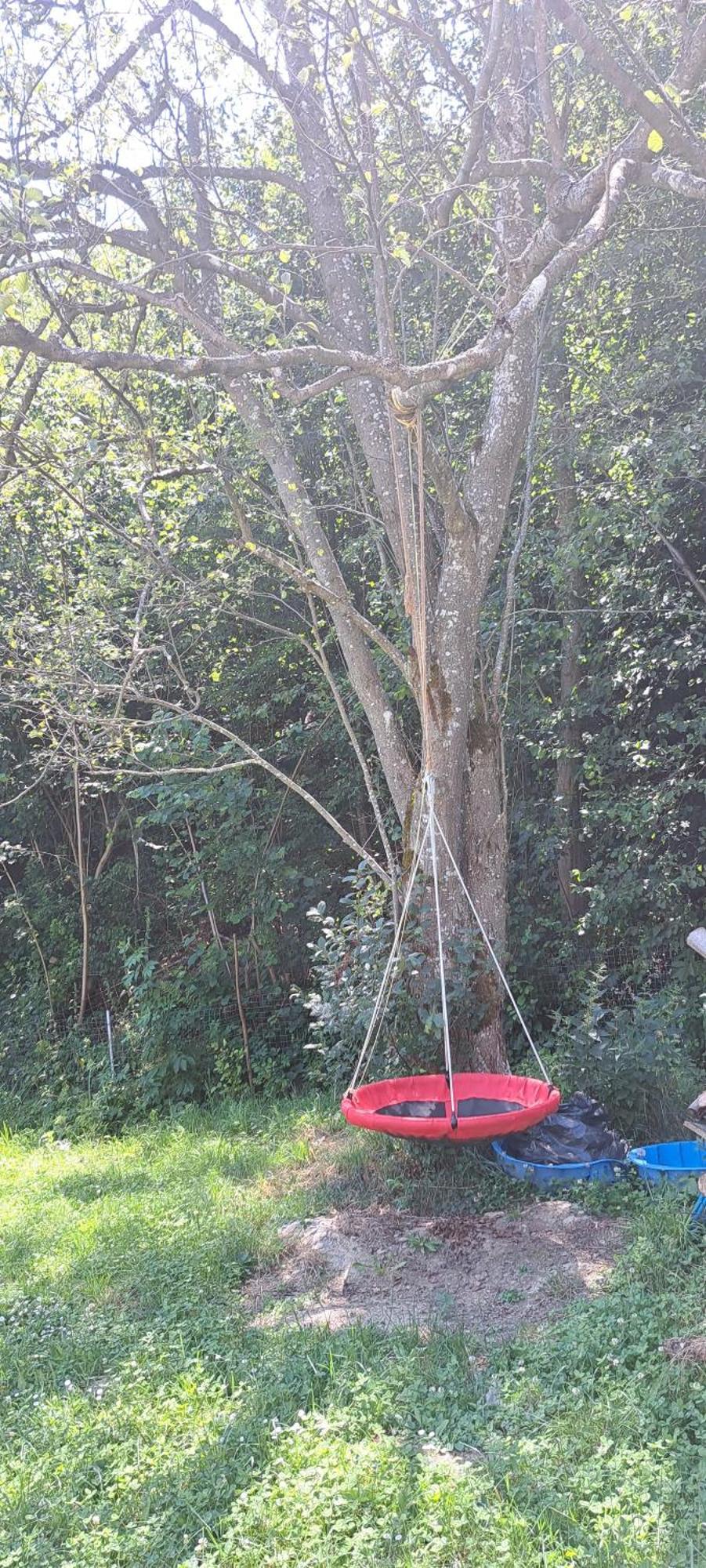 Forest Glamping บราชอฟ ภายนอก รูปภาพ