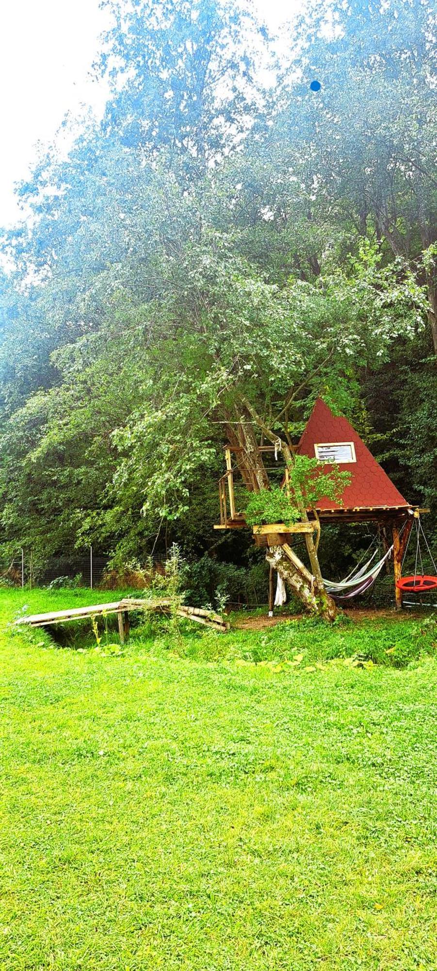 Forest Glamping บราชอฟ ภายนอก รูปภาพ